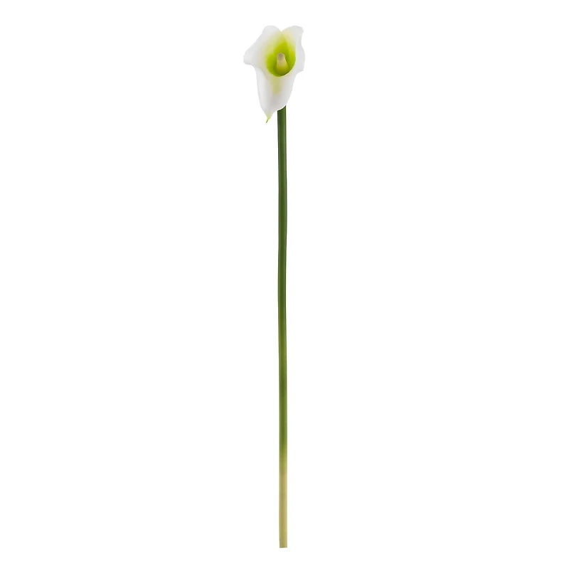White Calla Lily Stem, 12ct.