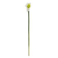 White Calla Lily Stem, 12ct.