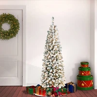 6ft. Pre-Lit Flocked Acacia Pencil Artificial Christmas Tree, Clear Lights