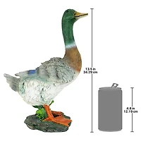 Design Toscano 13" Mallard Duck Statue