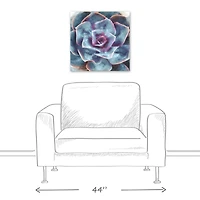 Purple And Teal Succulent 20" x 20" Canvas Wall Art