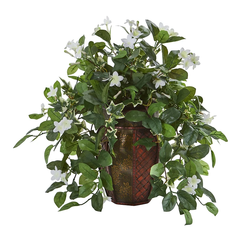 17" Stephanotis & Ivy Plant in Decorative Planter