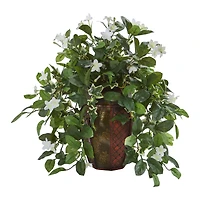 17" Stephanotis & Ivy Plant in Decorative Planter