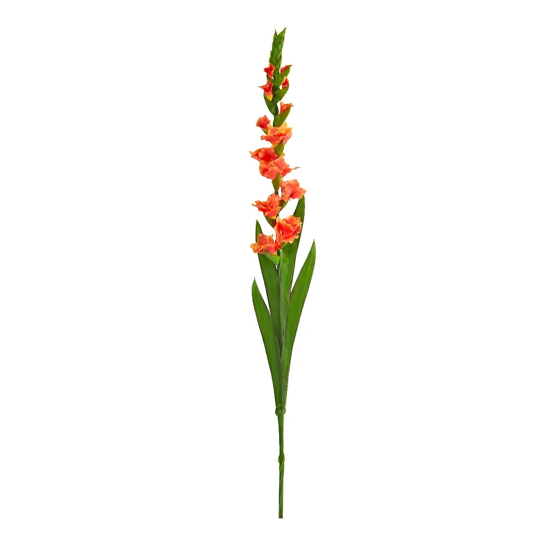 Salmon Gladiolus Flower Stems, 3ct.