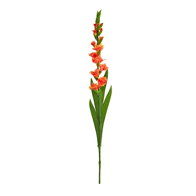 Salmon Gladiolus Flower Stems, 3ct.