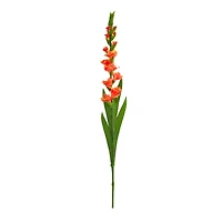 Salmon Gladiolus Flower Stems, 3ct.
