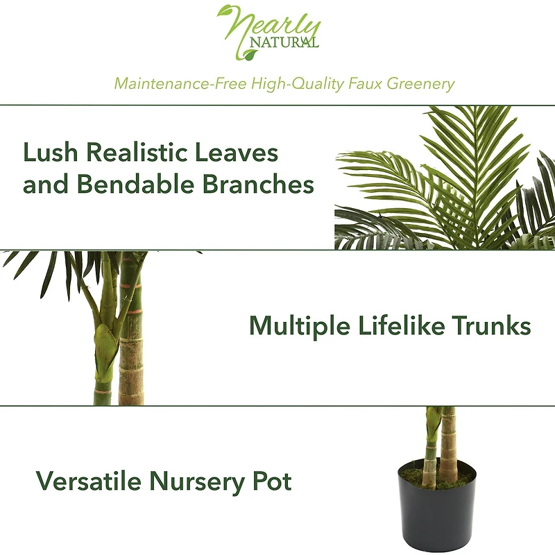 5ft. Potted Golden Cane Palm Tree