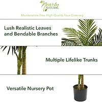 5ft. Potted Golden Cane Palm Tree