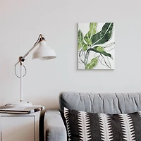 Stupell Industries Expressive Palm Linework Green Pop Detail Canvas Wall Art