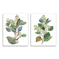 Stupell Industries Soft Eucalyptus Plant Blue Green Ombre Leaves Wood Wall Plaque