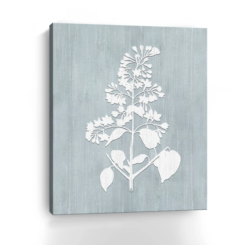 Botany Beauty IV Canvas Giclee