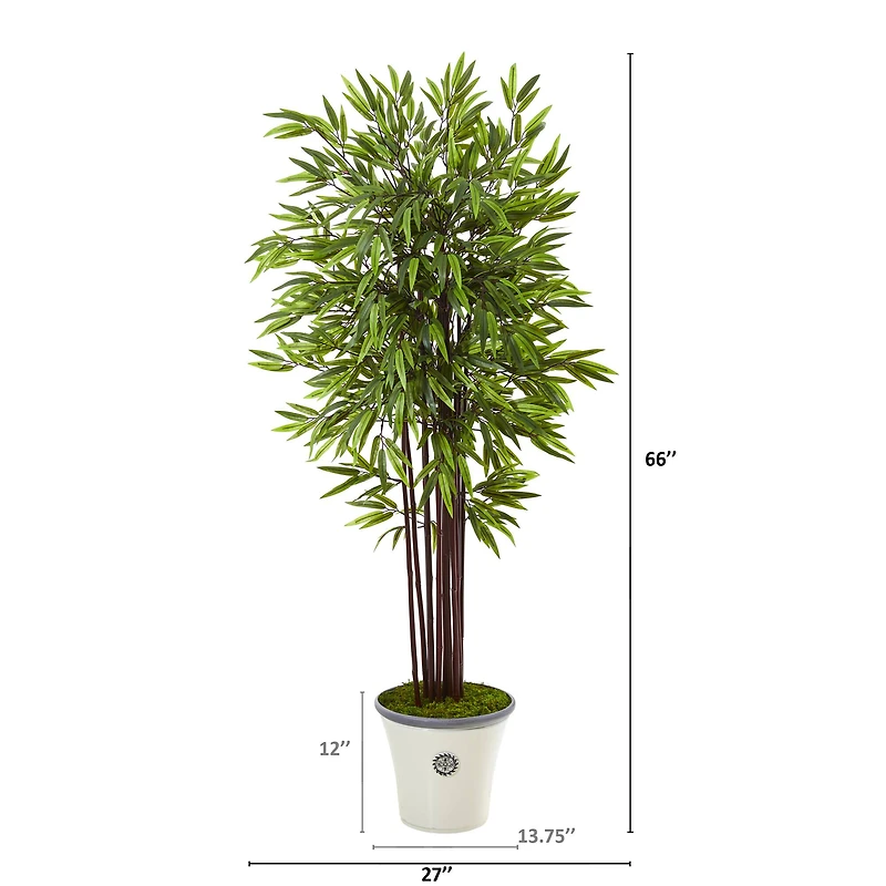 5.5ft. Bamboo Tree in Decorative Planter