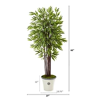 5.5ft. Bamboo Tree in Decorative Planter
