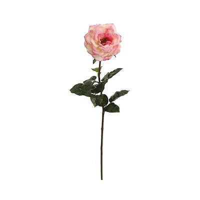 Real Touch Cream & Pink Orlane Rose Spray