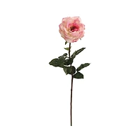 Real Touch Cream & Pink Orlane Rose Spray