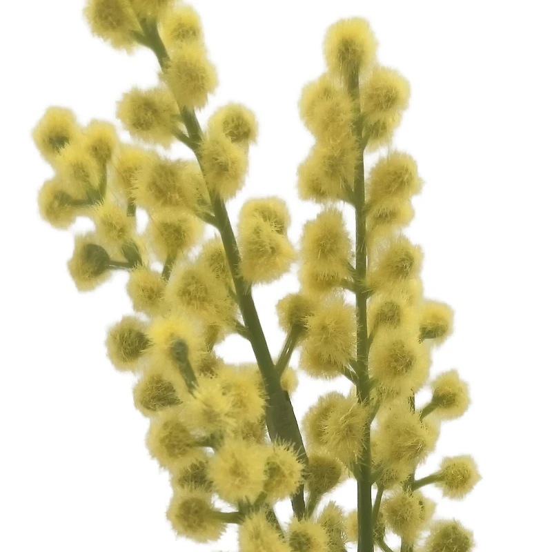 12" Yellow Mimosa Pick by Ashland®