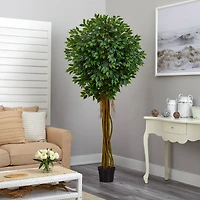 7.5ft. Potted UV Resistant Ficus Tree