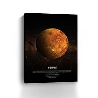 Venus Canvas Giclee