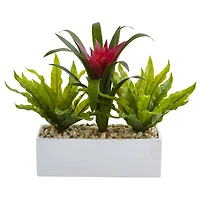 14" Bromeliad & Birds Nest Arrangement in Rectangular Planter