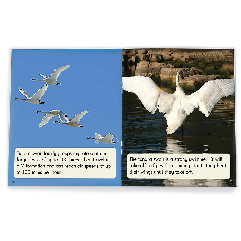 Junior Learning® Decodable Readers Fix Its Suffixes Non-Fiction Phase 6