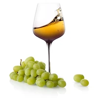 JoyJolt® 17.8oz. Black Swan White Wine Glasses, 2ct.