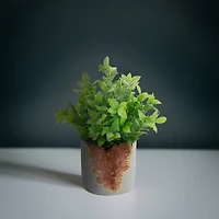 Flora Bunda® 11" Tea Leaf in Pink Crystal Planter