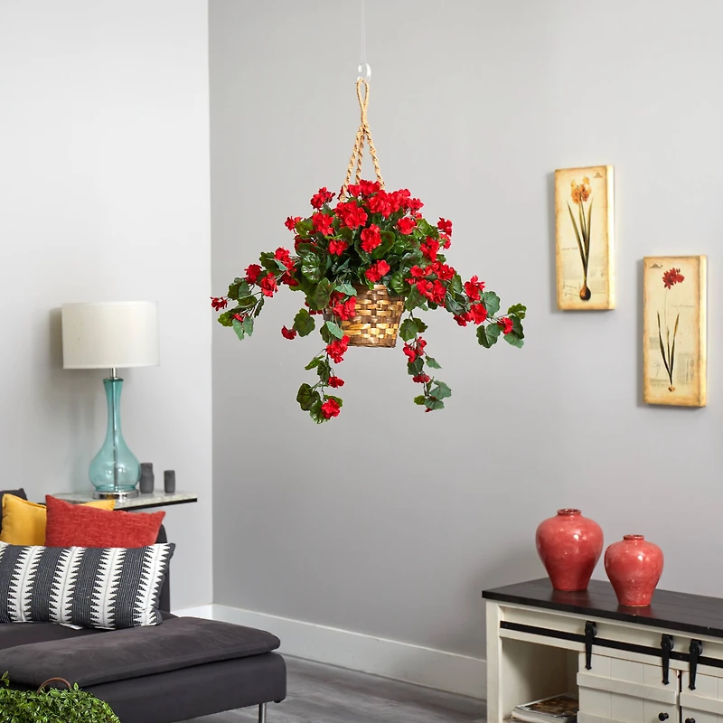 2.5ft. Geranium Hanging Basket