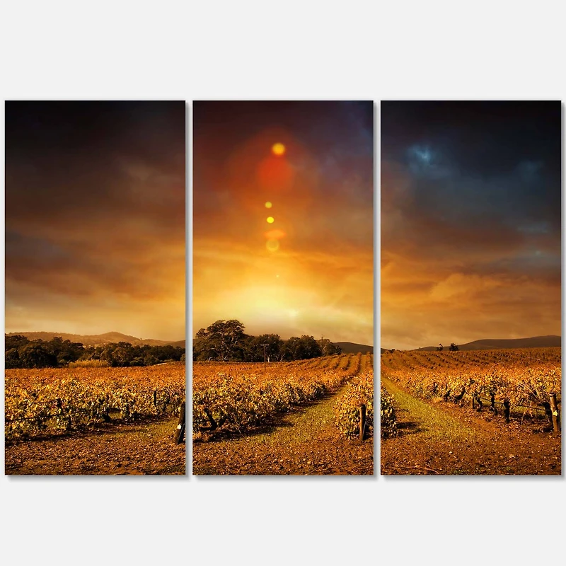 Designart - Yellow Autumn Vineyard Sunset