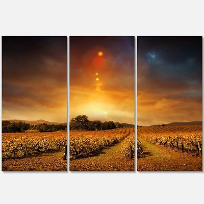 Designart - Yellow Autumn Vineyard Sunset