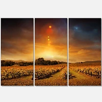 Designart - Yellow Autumn Vineyard Sunset