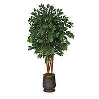5ft. Sakaki Artificial Tree in Ribbed Metal Planter