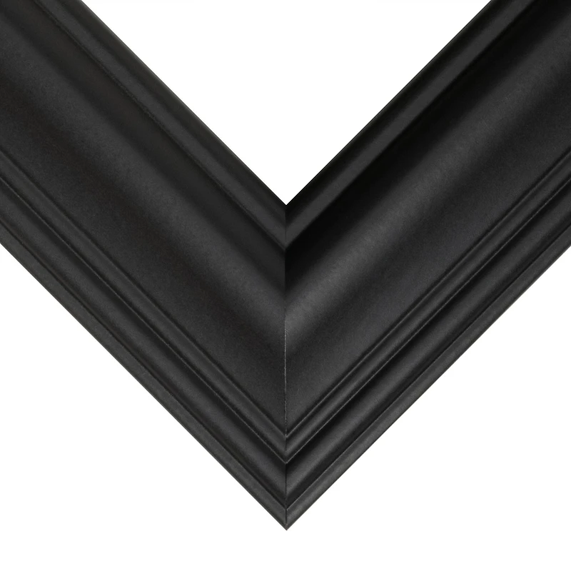 Frame USA Executive Black Single Image Picture Frame