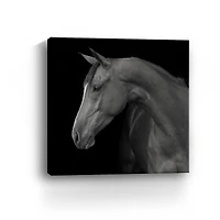 Lumaprints Jack Giclée Canvas