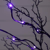 3ft. Pre-Lit Halloween Deluxe Black Twig Artificial Tree with 36 Orange & Purple LED Lights