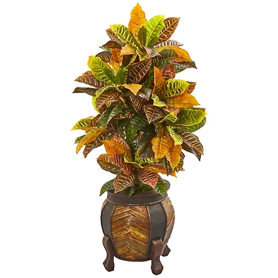 3.5ft. Croton Plant in Decorative Planter