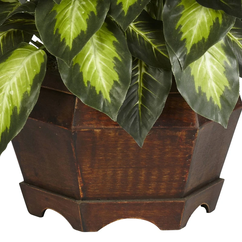 24" Golden Dieffenbachia Plant in Decorative Pot