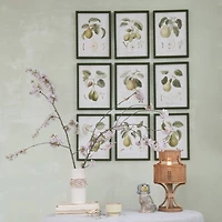 Hello Honey® 11.75" x 15.75" Orchard Essence Pear Print Collection Wall Art Set