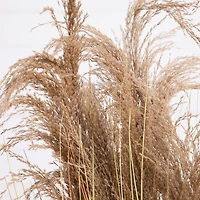4ft. Golden Yellow, Green & Brown Potted Artificial Pampas Grass