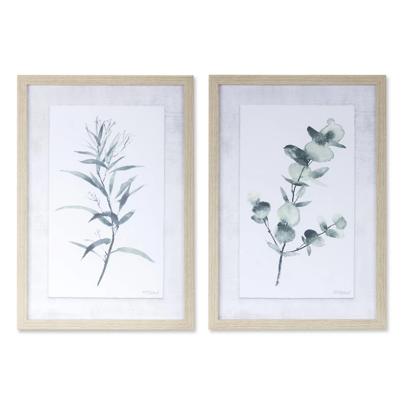 18.2" Framed Plant Print Set