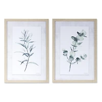 18.2" Framed Plant Print Set