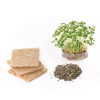 Creativity for Kids® Build & Grow Tree House Kit