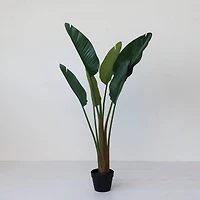 Hello Honey® 4ft. Potted Faux Banana Tree
