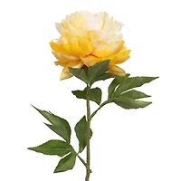29" Yellow Peony Stem by Ashland®