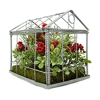 9" Red & Green Cardinal Boxwood Artificial Christmas Greenhouse Arrangement