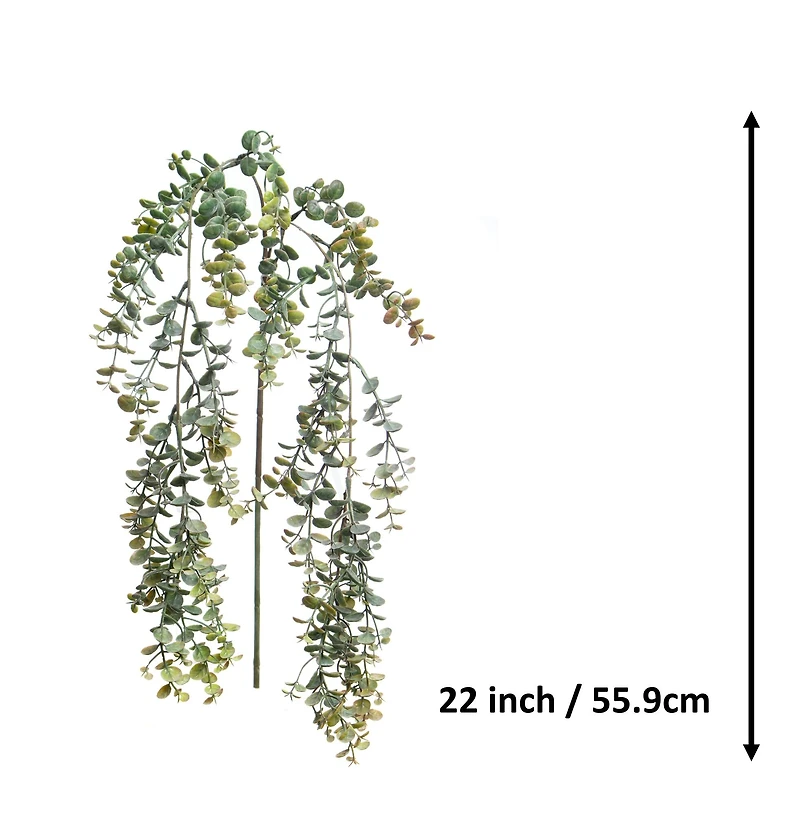 22" Hanging Eucalyptus Stem by Ashland®