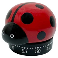 Ceramic Ladybug Timer by Ashland®