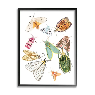 Stupell Industries Winged Insect Group Tropical Color Bugs in Frame Wall Art