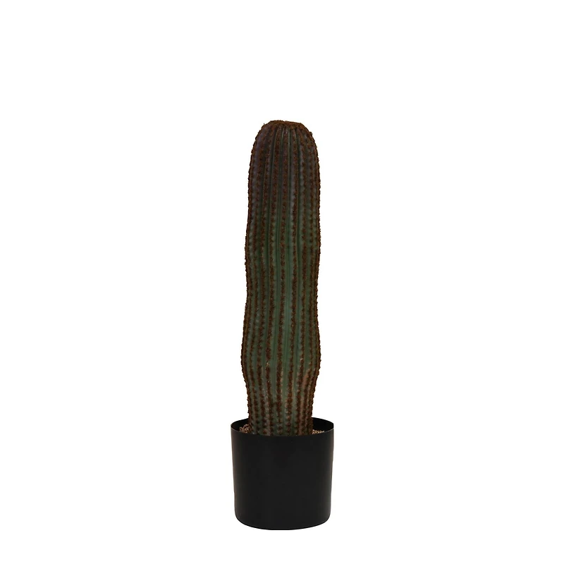 Hello Honey® Round Faux Green Vatricania Cactus in Plastic Pot