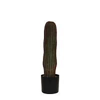 Hello Honey® Round Faux Green Vatricania Cactus in Plastic Pot