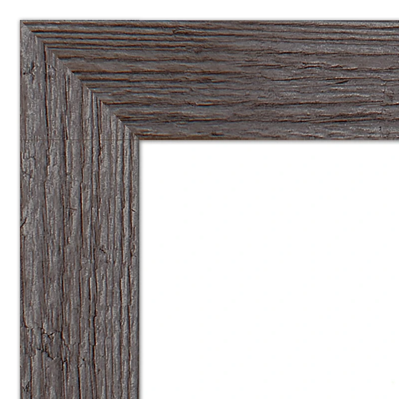 Boho Plant Still Western Framed Print